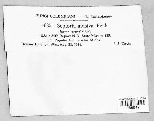 Sphaerulina musiva image